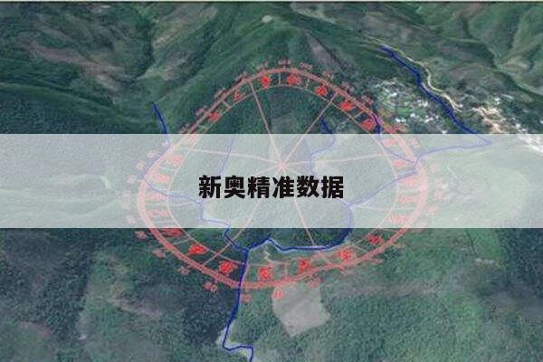 新奥精准数据/新奥查询