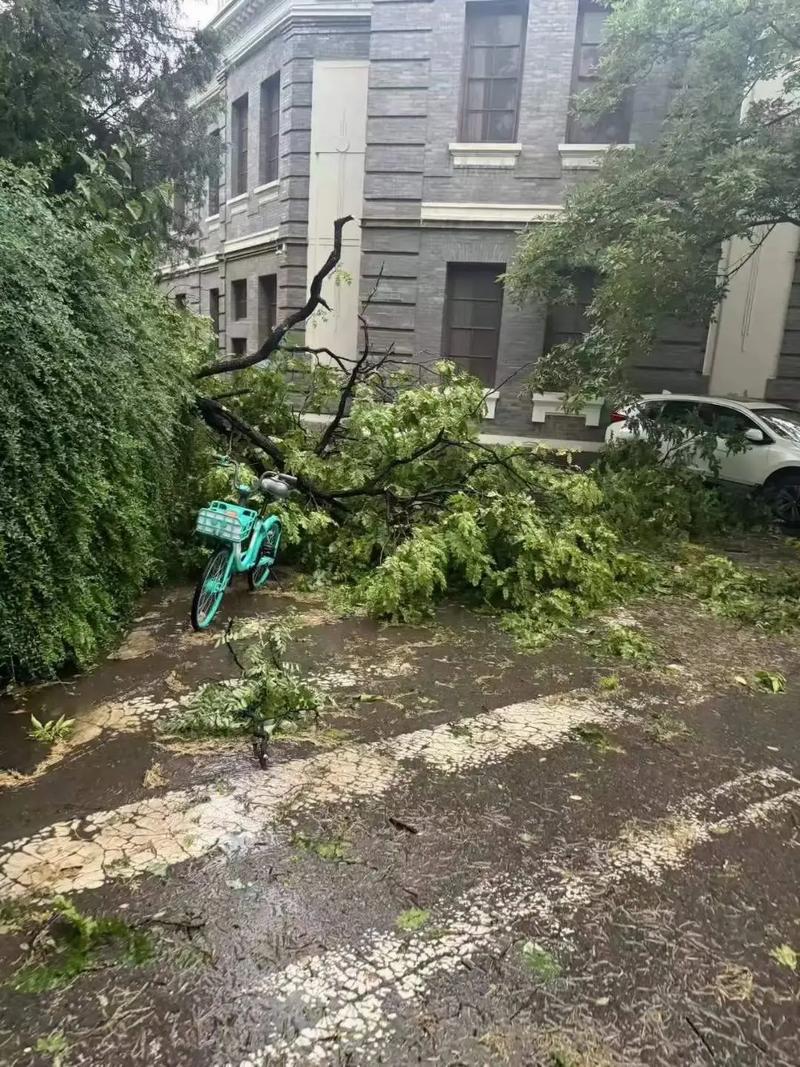 北京大风掀铁皮屋顶,北京大风掀铁皮屋顶事件