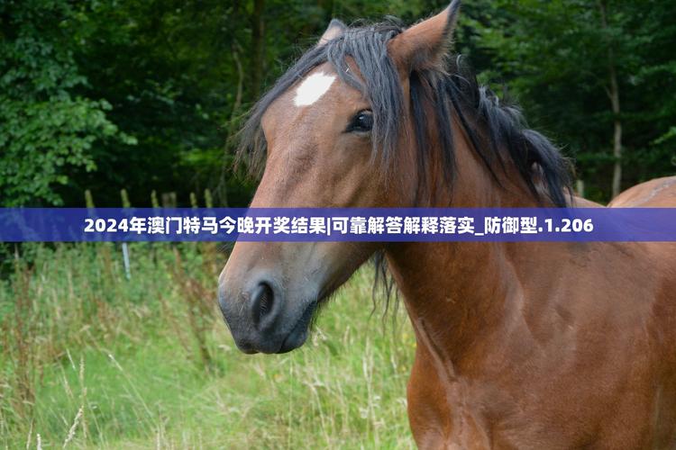2025年5月28日 第149页