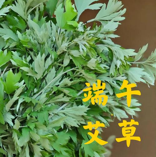 新澳门彩走势和年轻人爱上端午挂艾与端午挂艾叶的原因
