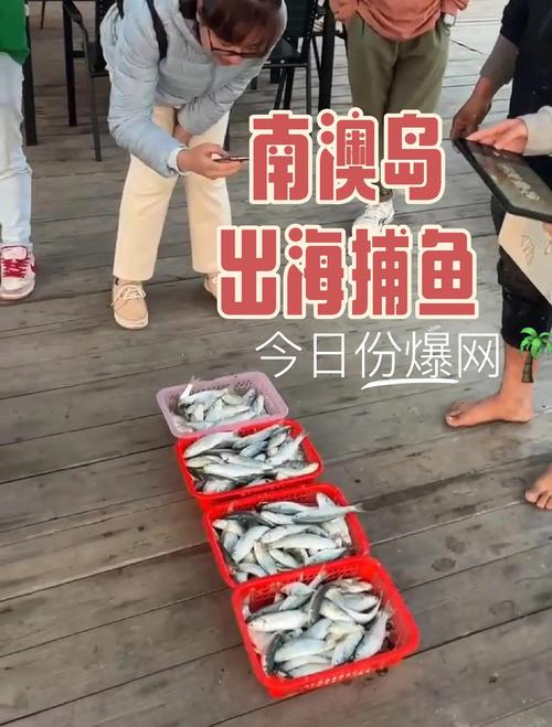 2025新澳最新资料大全和把西瓜扔鱼塘喂鱼与把西瓜扔鱼塘喂鱼好吗