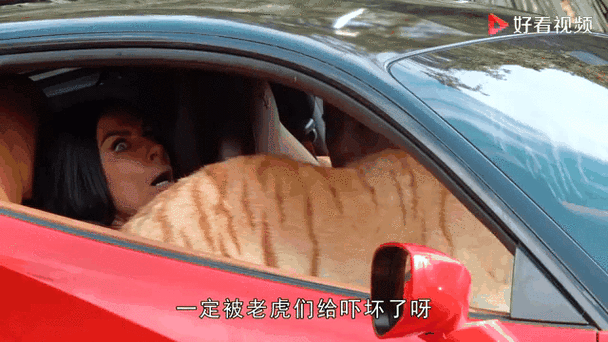 澳门管家婆一特一中和摸老虎屁股遭扑咬与摸老虎屁股遭扑咬视频