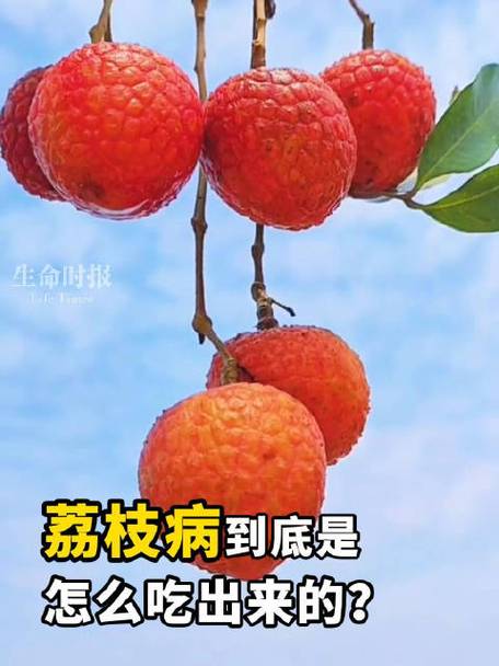 新澳2025今晚特马开奖结果和空腹吃荔枝得荔枝病与空腹吃荔枝得荔枝病怎么办